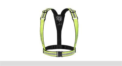 TRIUMPH BRIGHT BRACE